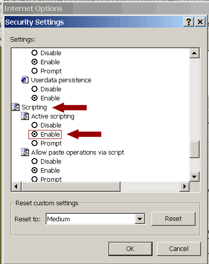 Internet Explorer's Security Settings with Scriptng Enabled
