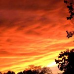 Defensive Driving Jacinto City Texas