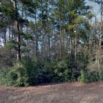 Defensive Driving Security Texas