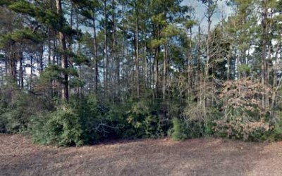 Defensive Driving Security Texas