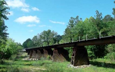 Defensive Driving New Caney Texas