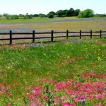 Defensive Driving Industry Texas