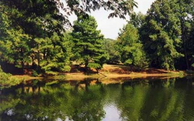 Defensive Driving Cove Texas