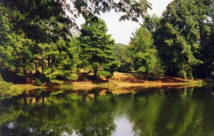 Defensive Driving Cove Texas