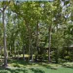 Defensive Driving Hunters Creek Texas