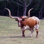 Defensive Driving Manvel Texas Defensive Driving Manvel Texas