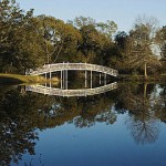 Defensive Driving Cat Springs