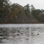 Defensive Driving Huffman Texas 