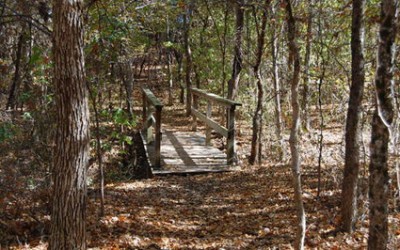 Defensive Driving The Colony Texas