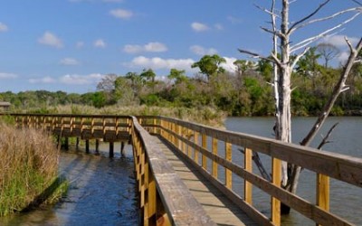 Defensive Driving Bay Area Texas