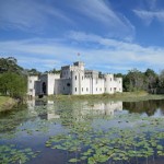 Defensive Driving Bellville