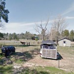 Leonidas-Texas-Social-SQ-270x270- Defensive Driving Leonidas Texas