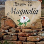 Defensive Driving Magnolia