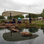 Defensive Driving Pecan Grove Texas