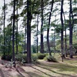 Defensive Driving Pinehurst Texas