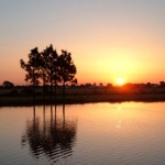 Pleak-Texas-Social-SQ-270x270- Defensive Driving Pleak