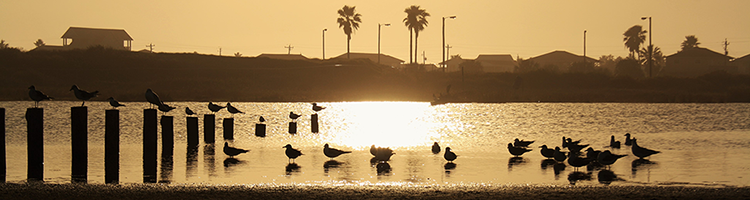 Defensive Driving Jamaica Beach Texas Header Defensive Driving Jamaica Beach Texas Header