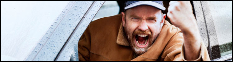 Causes and Prevention of Road Rage Causes and Prevention of Road Rage