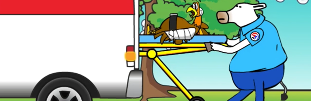 Comedy defensive driving coupon