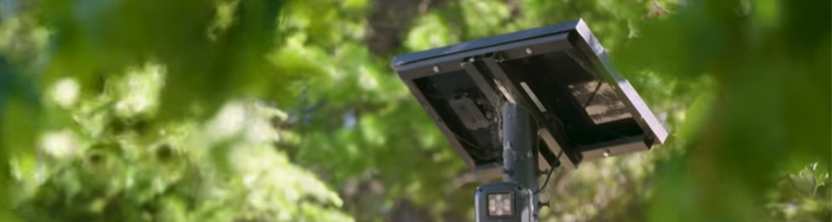Do You Like What's Replacing Red Light Cameras Header Do You Like What's Replacing Red Light Cameras Header