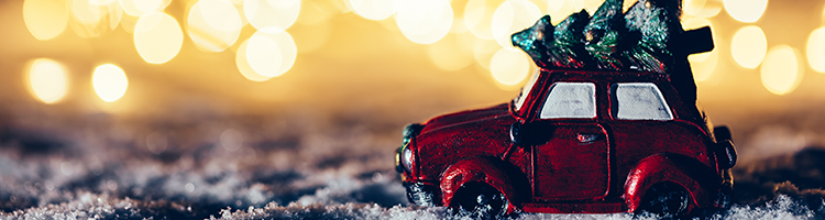 The Holidays Header The Holidays Header
